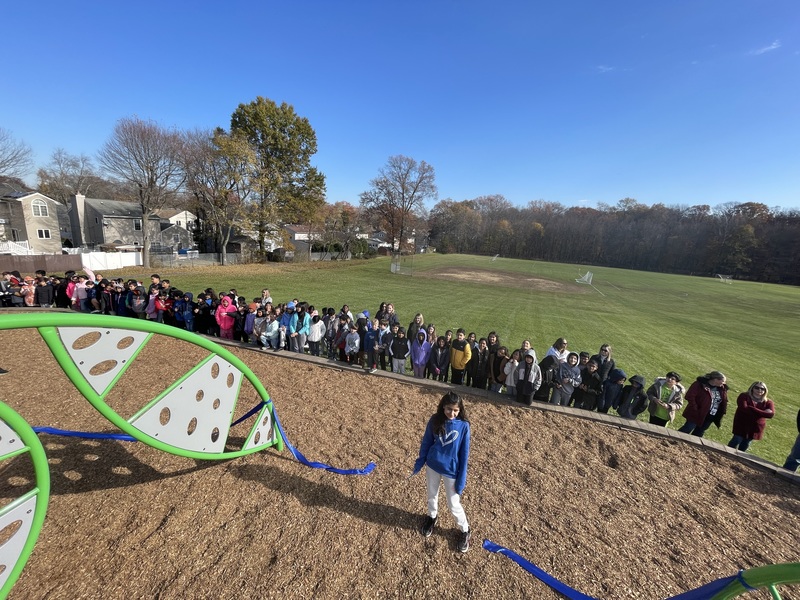 Unveiling Success A Grand Opening Celebration to Remember Knollwood